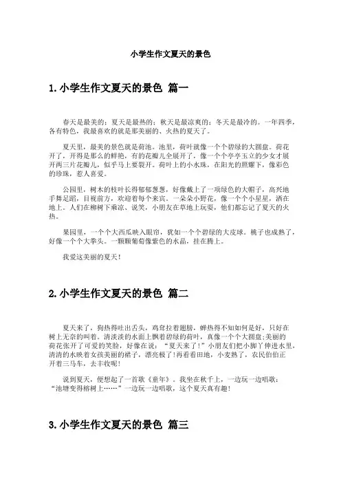 小学生作文夏天的景色
