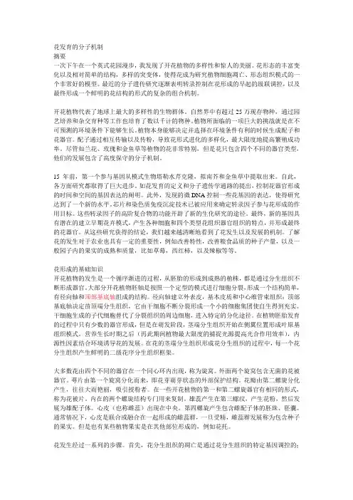 花发育的分子机制 整理