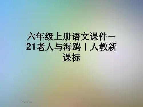 六年级上册语文课件-21老人与海鸥｜人教新课标