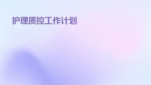 护理质控工作计划PPT