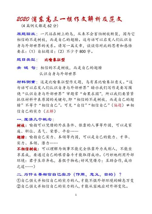 2020浦东高三一模作文解析及范文(一只站在树上的鸟……)