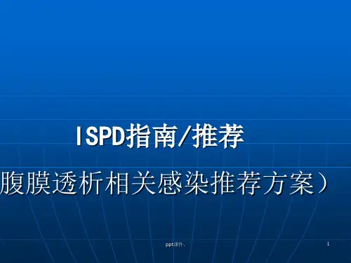 ISPD指南ppt课件