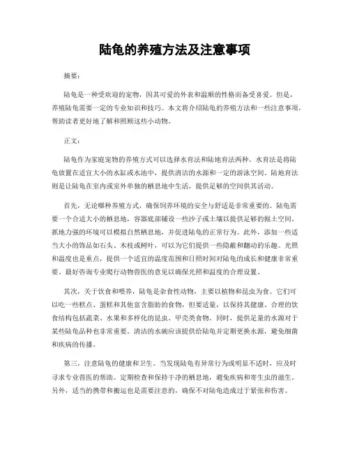 陆龟的养殖方法及注意事项