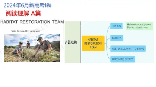 2024年全国高考英语新高考I卷讲评