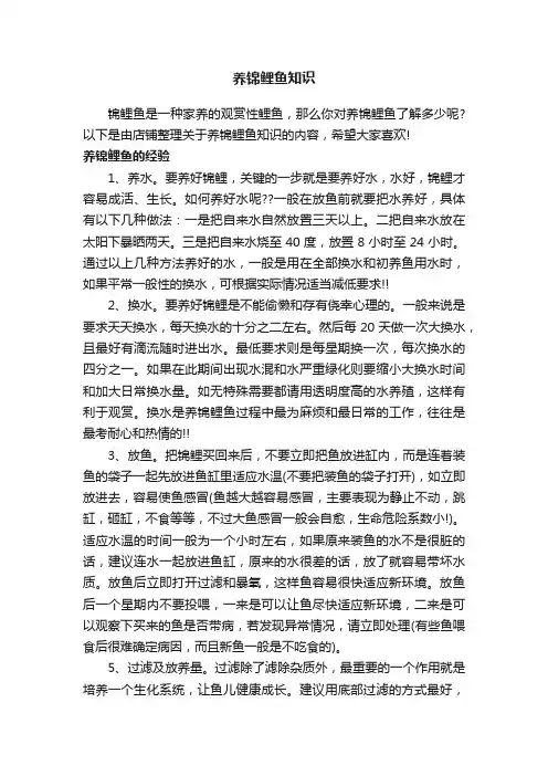 养锦鲤鱼知识