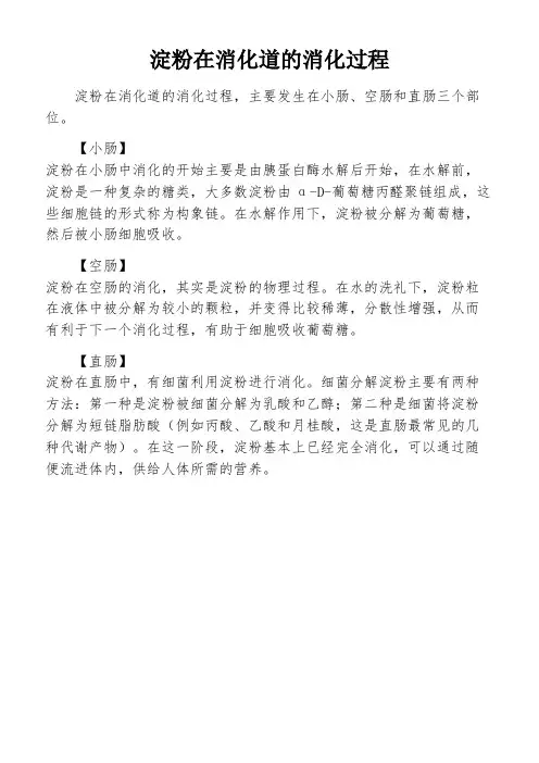 淀粉在消化道的消化过程