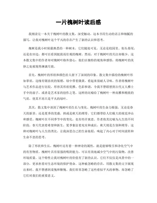一片槐树叶读后感