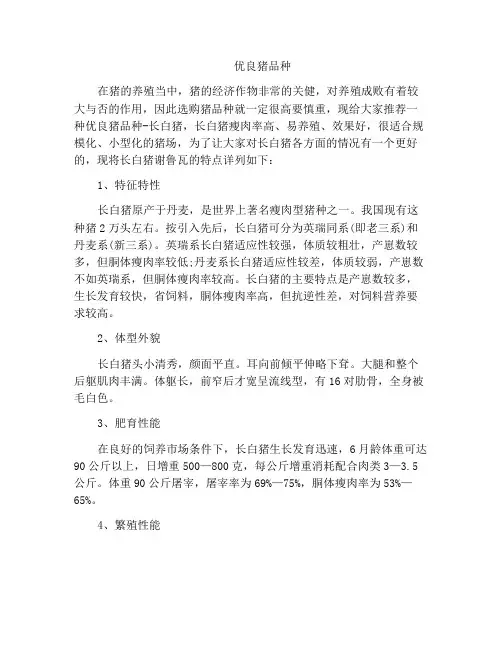 精选范文之优良猪品种