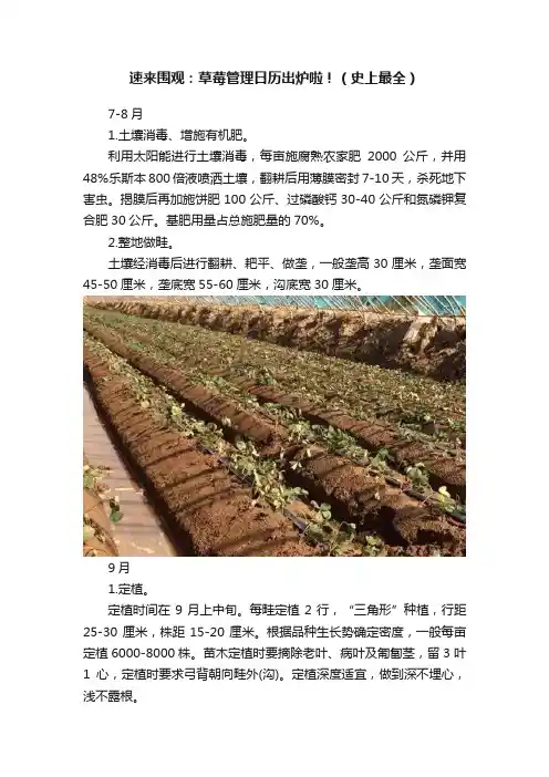 速来围观：草莓管理日历出炉啦！（史上最全）