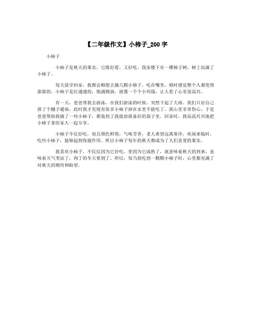 【二年级作文】小柿子_200字