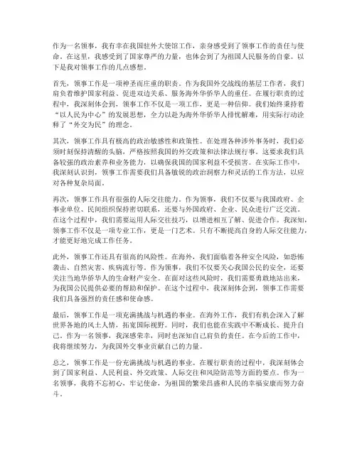 领事工作感想