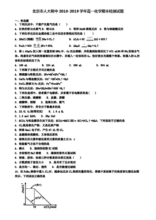 北京市人大附中2018-2019学年高一化学期末检测试题