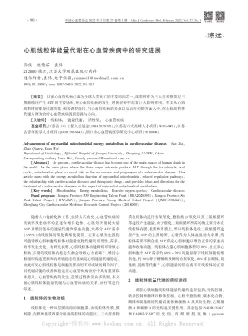 心肌线粒体能量代谢在心血管疾病中的研究进展