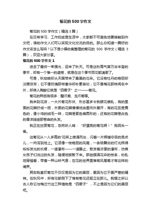 菊花的500字作文（精选3篇）