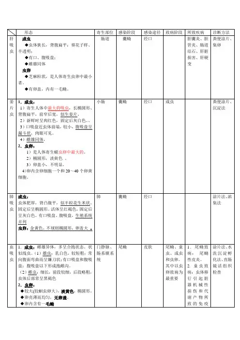 医学蠕虫总结