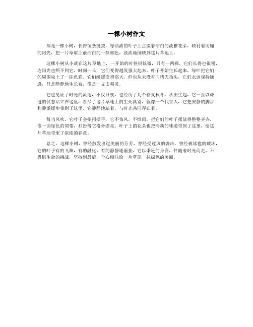 一棵小树作文