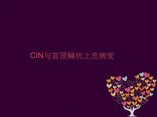 CIN与宫颈鳞状上皮病变ppt课件