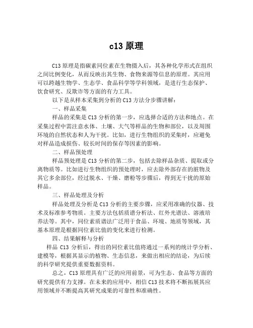 c13原理