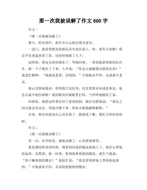 那一次我被误解了作文600字