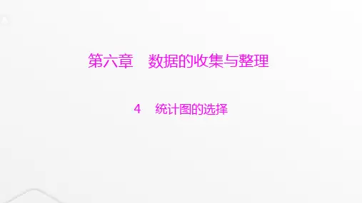 北师大版七年级数学上册第六章数据的收集与整理统计图的选择课件