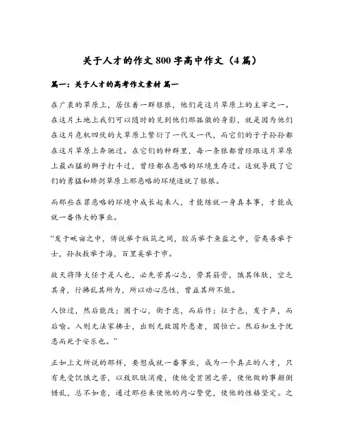 关于人才的作文800字高中作文(4篇)