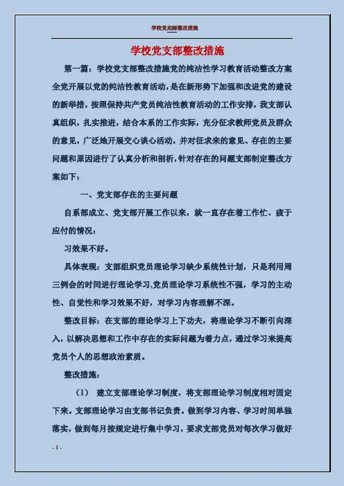 学校党支部整改措施