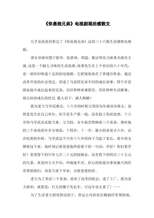 《你是我兄弟》电视剧观后感散文