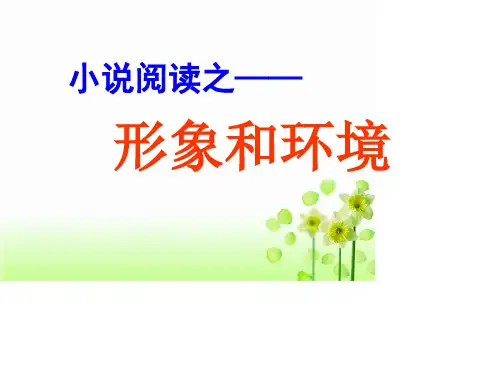 人物形象和环境鉴赏