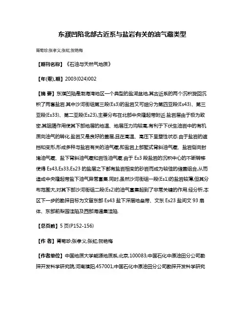 东濮凹陷北部古近系与盐岩有关的油气藏类型