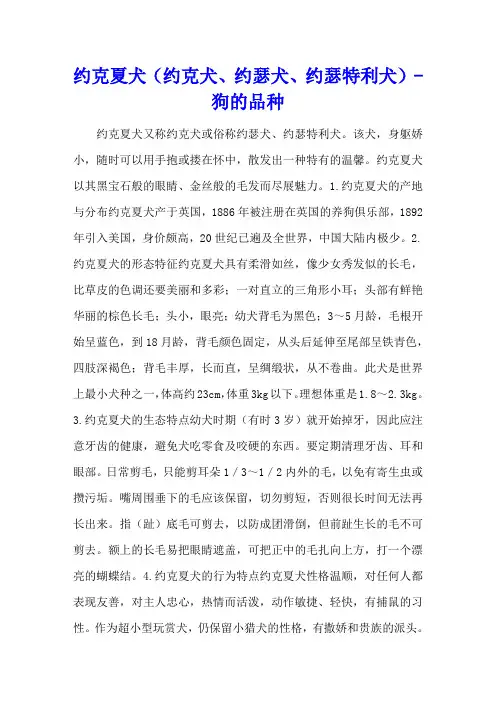 约克夏犬(约克犬、约瑟犬、约瑟特利犬) - 狗的品种