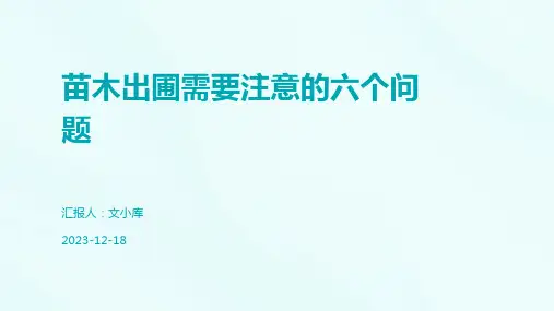 苗木出圃需要注意的六个问题