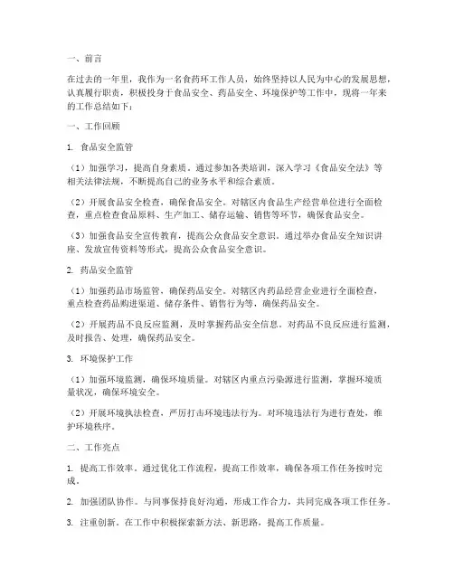 食药环个人工作总结