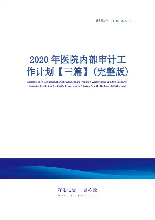 2020年医院内部审计工作计划【三篇】(完整版)