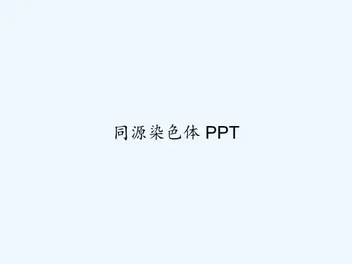 同源染色体 PPT