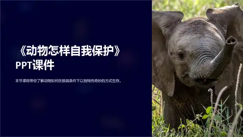 《动物怎样自我保护》课件