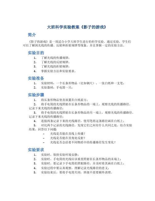 大班科学实验教案《影子的游戏》