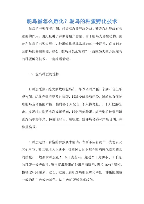 鸵鸟蛋怎么孵化？鸵鸟的种蛋孵化技术
