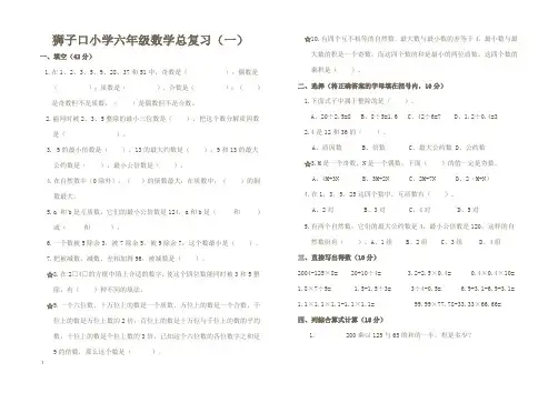 小学六年级数学毕业复习题