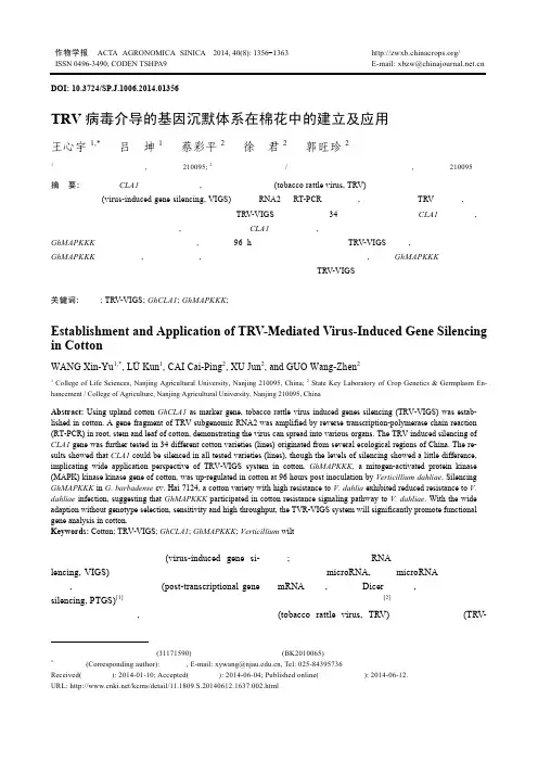 TRV病毒介导的基因沉默体系在棉花中的建立及应用