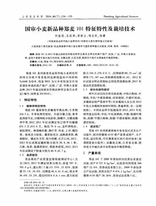 国审小麦新品种郑麦101特征特性及栽培技术