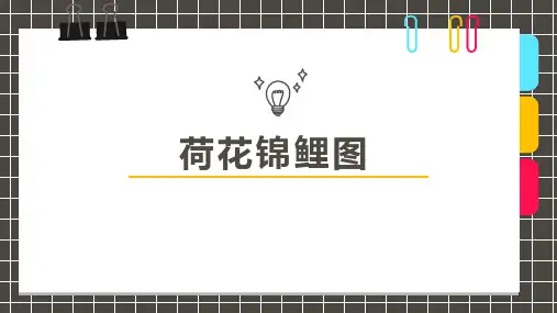 7岁-9岁水彩线描《荷花锦鲤图》—美术课件