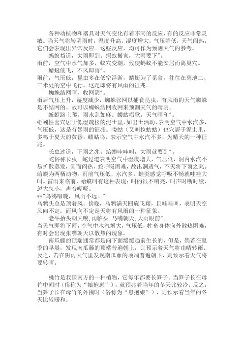 下雨天气各种动植物的表现