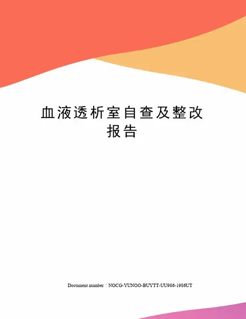 血液透析室自查及整改报告
