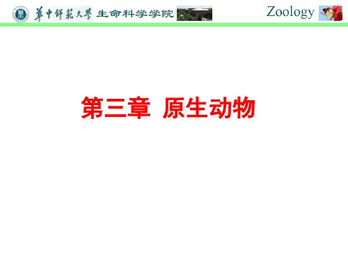 普通动物学-第三章-原生动物