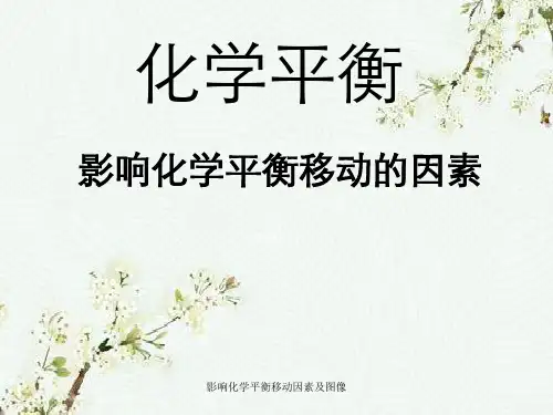 影响化学平衡移动因素及图像