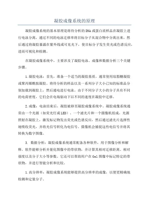 凝胶成像系统的原理