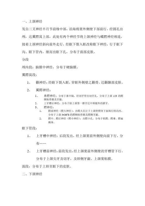 口腔解剖生理学