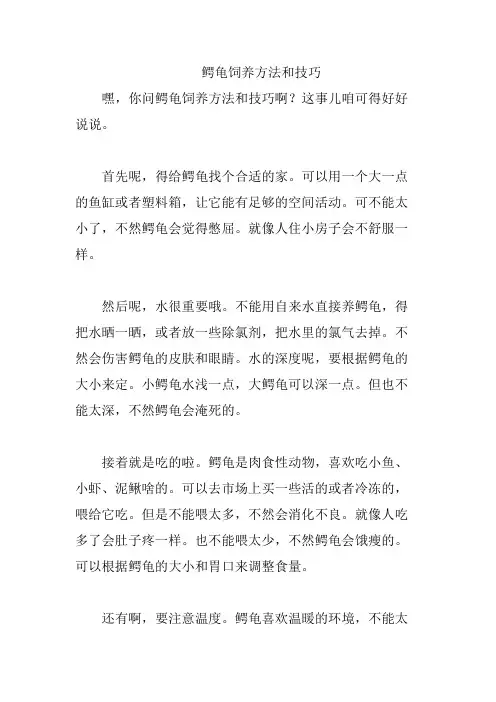 鳄龟饲养方法和技巧
