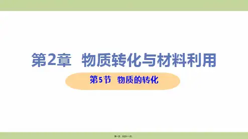 新浙教版九年级上册初中科学 第5节 物质的转化 教学课件