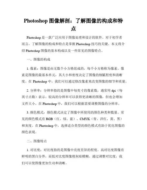 Photoshop图像解剖 了解图像的构成和特点